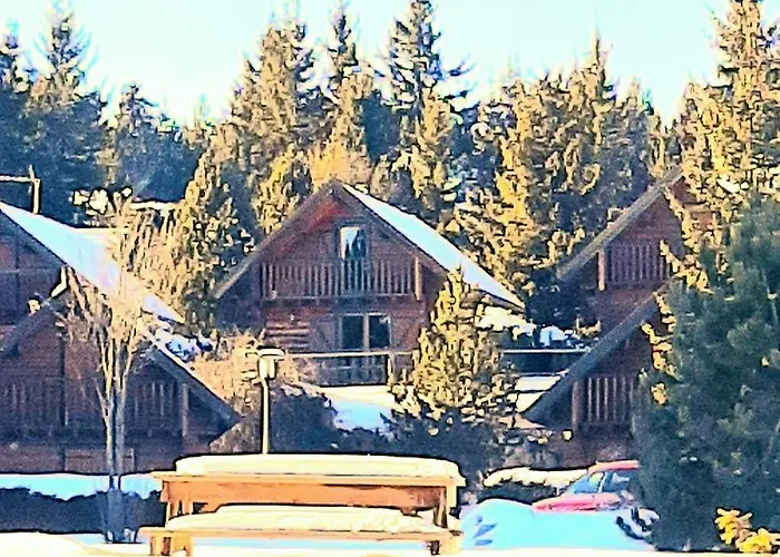 Maison De Bois Finlandaise Au Pied Des Pistes *